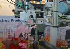 Harvesting gerberas with a robot at Wageningen University & Research
